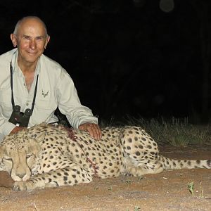 Hunting Cheetah in Namibia