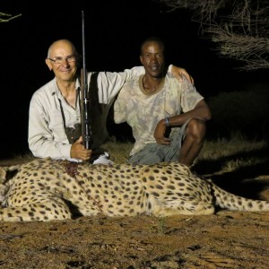 Hunting Cheetah in Namibia