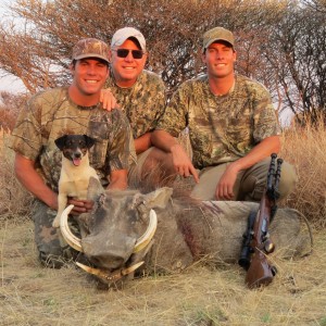 Hunting Warthog in Namibia