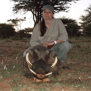 Hunting Warthog in Namibia