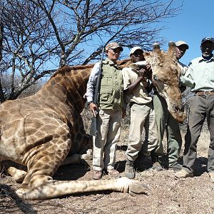 Hunting Giraffe in Namibia