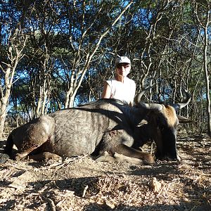 Hunting Blue Wildebeest in Namibia