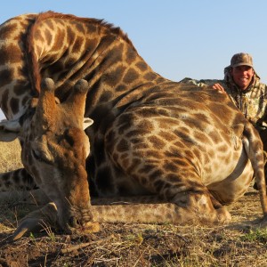 Hunting Giraffe in Namibia