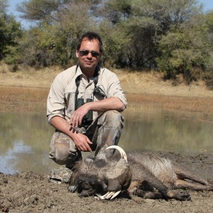 Hunting Warthog in Namibia