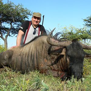 Hunting Blue Wildebeest in Namibia