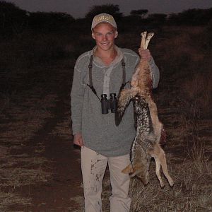 Hunting Jackal in Namibia