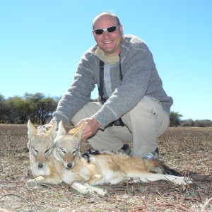 Hunting Jackal in Namibia