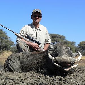 Hunting Warthog in Namibia