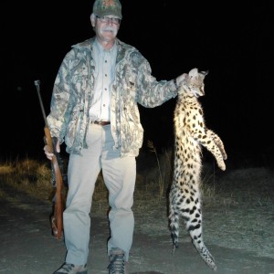 Hunting Serval in Namibia