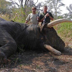 85lb Elephant 2012