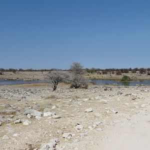 Etosha National Park