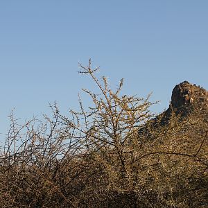 Ozondjahe Peak Namibia