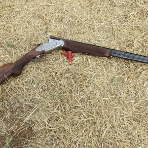 20 Gauge Namibia