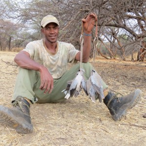 Dove Namibia