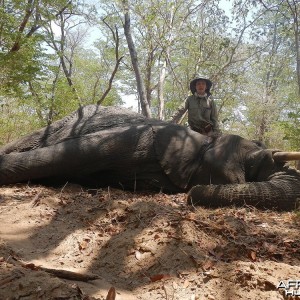 Zimbabwe 2012 5th Elephant