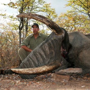 Zimbabwe Elephant 2012