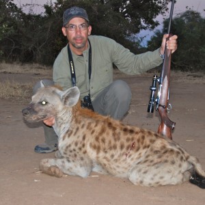 Zimbabwe Hyena 2012