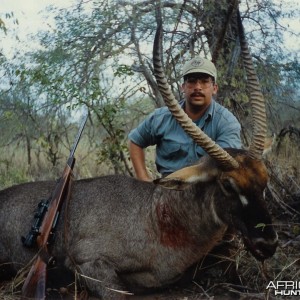 Waterbuck 1995