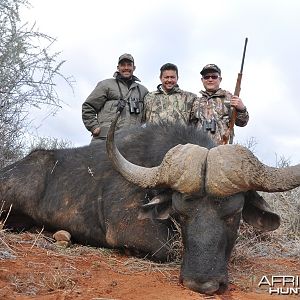 Buffalo hunted with Wintershoek Johnny Vivier Safaris