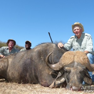 Buffalo hunted with Wintershoek Johnny Vivier Safaris