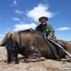 Black Wildebeest hunted with Wintershoek Johnny Vivier Safaris