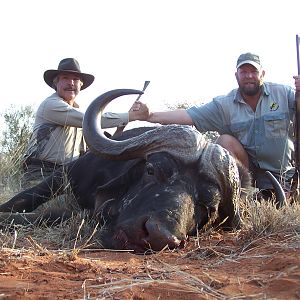 Buffalo hunted with Wintershoek Johnny Vivier Safaris