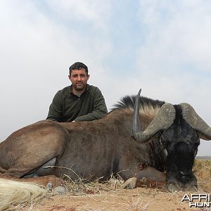 Black Wildebeest hunted with Wintershoek Johnny Vivier Safaris