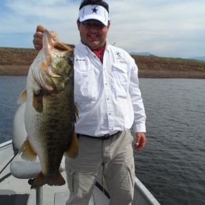 Bass of Sinaloa in Western Mexico