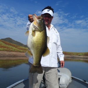 Bass of Sinaloa in Western Mexico