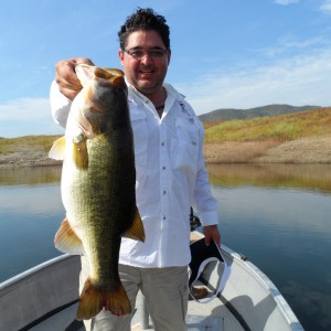 Bass of Sinaloa in Western Mexico