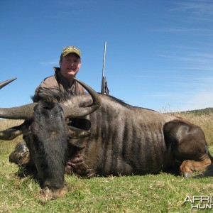 Blue Wildebeest