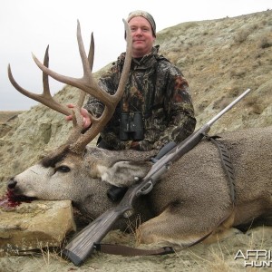 Alberta Mule Deer