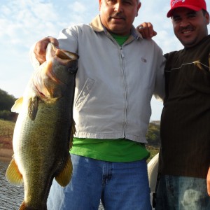 Bass of Sinaloa in Western Mexico