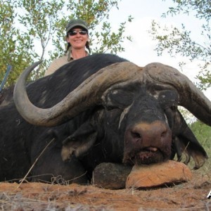 Magnificent 46 inch Buffalo hunted with Wintershoek Johnny Vivier Safaris