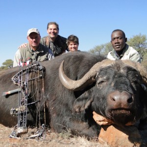 Buffalo hunted with Wintershoek Johnny Vivier Safaris