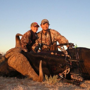 Buffalo hunted with Wintershoek Johnny Vivier Safaris