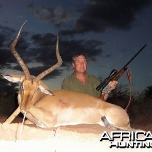 Impala Namibia 2012