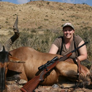 Red Hartebeest