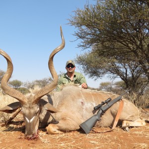 Greater Kudu