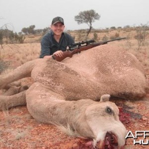 Hunting Camel in the Australian Outback