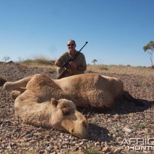 Hunting Camel in the Australian Outback