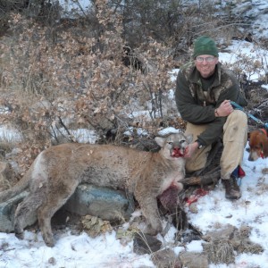 New Mexico mt lion