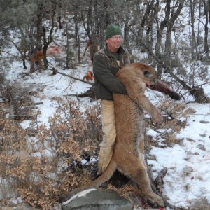 New Mexico mt lion