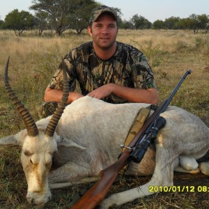 White Blesbok