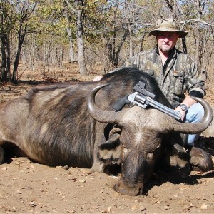 cape buffalo