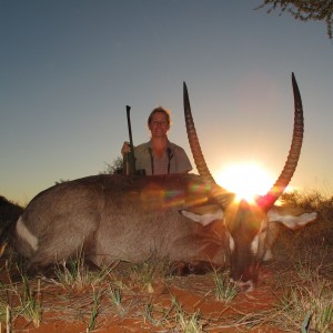 Waterbuck