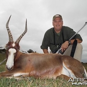 Blesbok