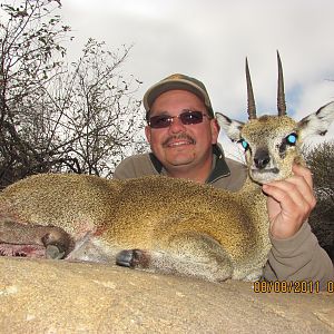 Klipspringer