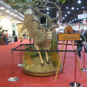 Taxidermy at Safari Club International Convention