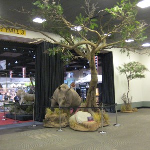 Taxidermy at Safari Club International Convention